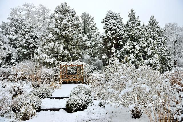 Winter Bench by Eddie C3 on Flickr